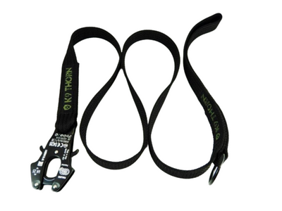 Cynology / Dog Training