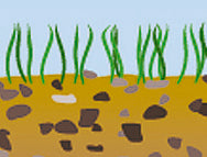 BasicNature Duralumin Zeltheringe 15 cm 6 Stück