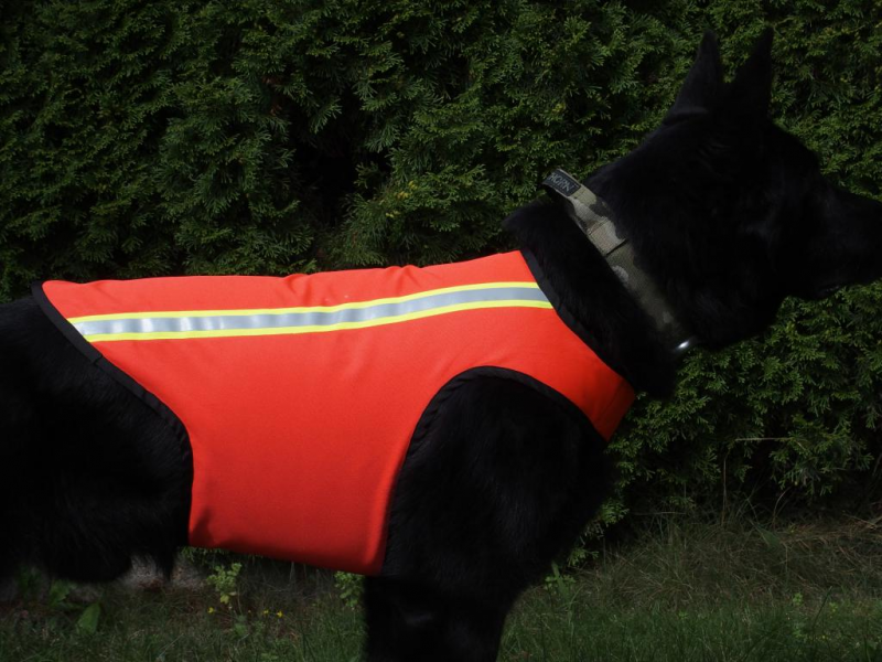 K9 Thorn Warnweste, L