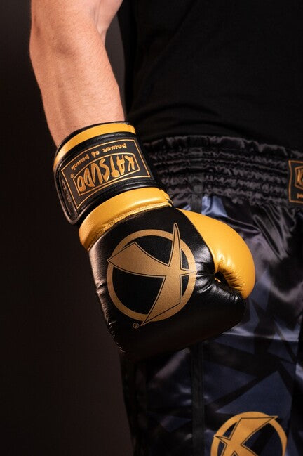 Katsudo Fight Boxhandschuhe, schwarz-gold