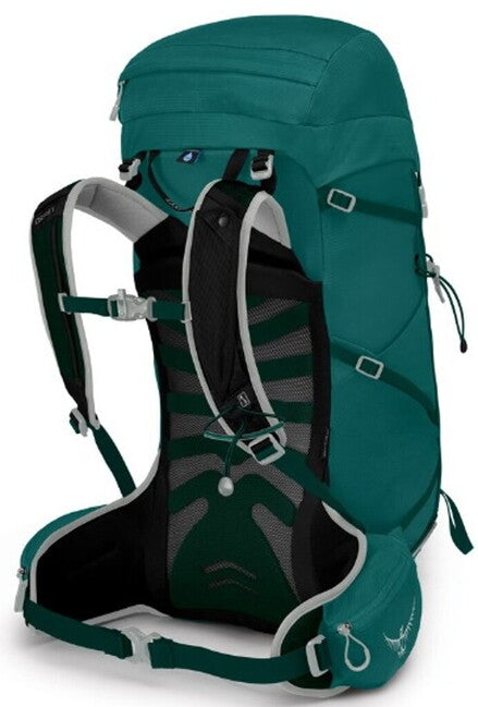 OSPREY Tempest 30 III, jasper green