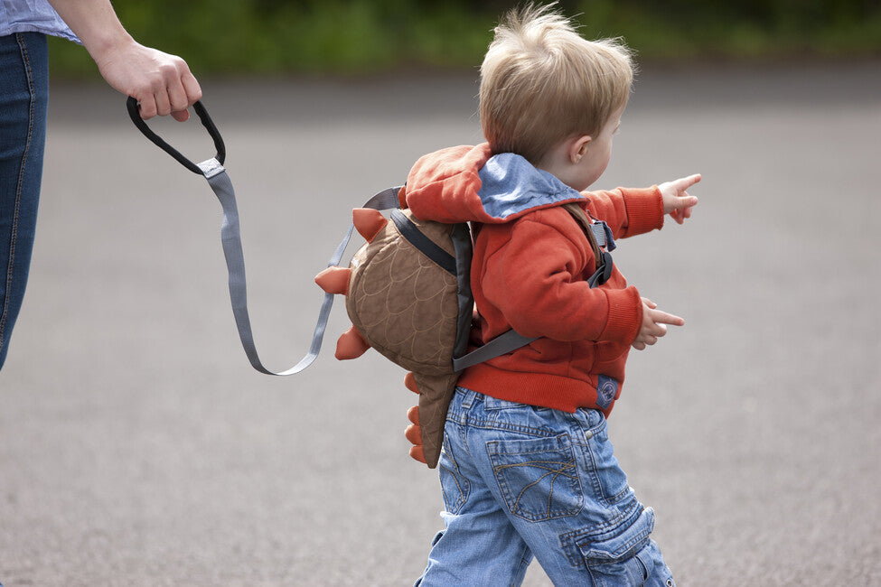 LittleLife Leash für kinder
