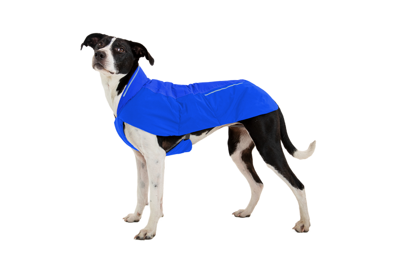 Ruffwear Vert Jacke für Hund blue pool