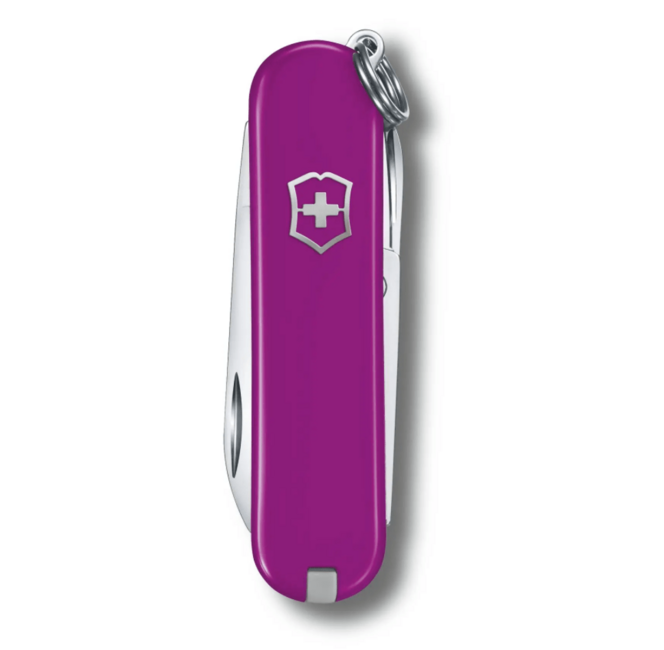 Victorinox Classic SD Colors Tasty Grape multifunkčný nôž, tmavofialová, 7funkcií