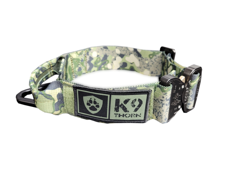 K9 Thorn Halsband Cobra-Bravo 45mm, schwarz