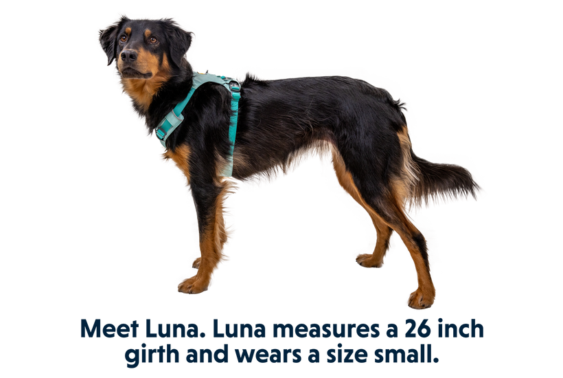 Ruffwear Hi & Light Hundegeschirr, sage green
