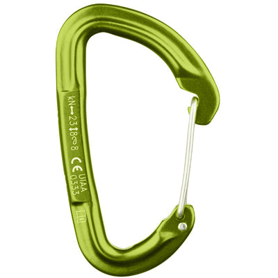 Salewa Hot G3 Karabiner grün