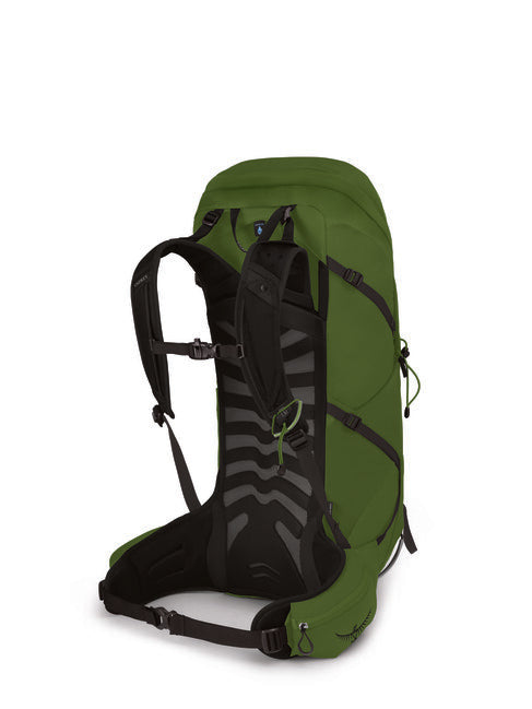 OSPREY Talon 36, green belt/black