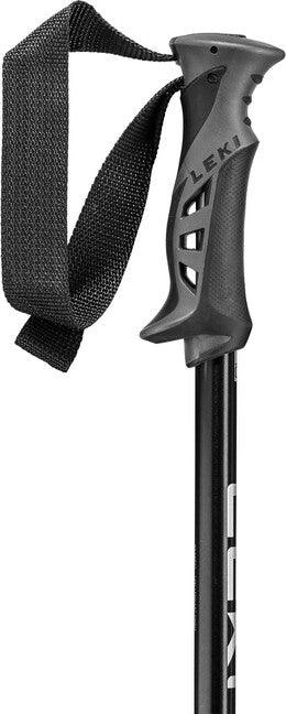 LEKI Rental Classic Abfahrts-Skistöcke natur eloxiert silber/schwarz