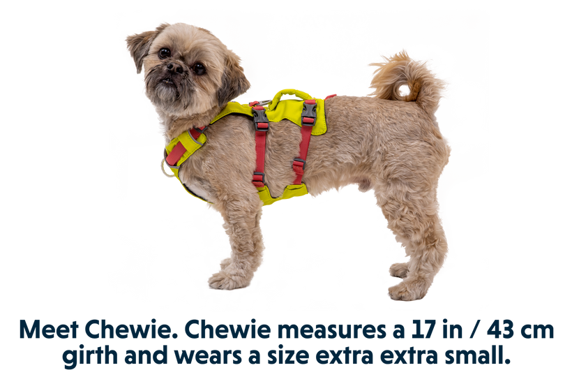Ruffwear Flagline-Geschirr, lichen green