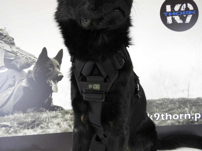 K9 Thorn Geschirr Delta, schwarz