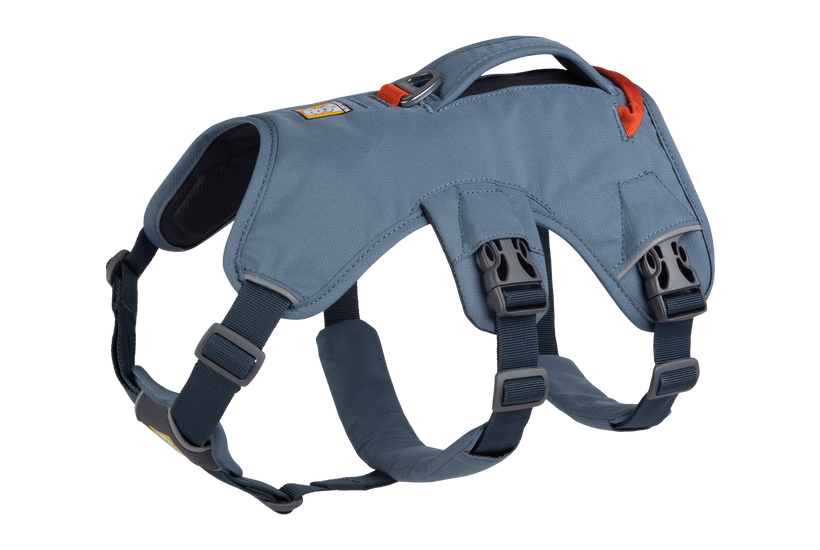 Ruffwear Web Master harness, state blue