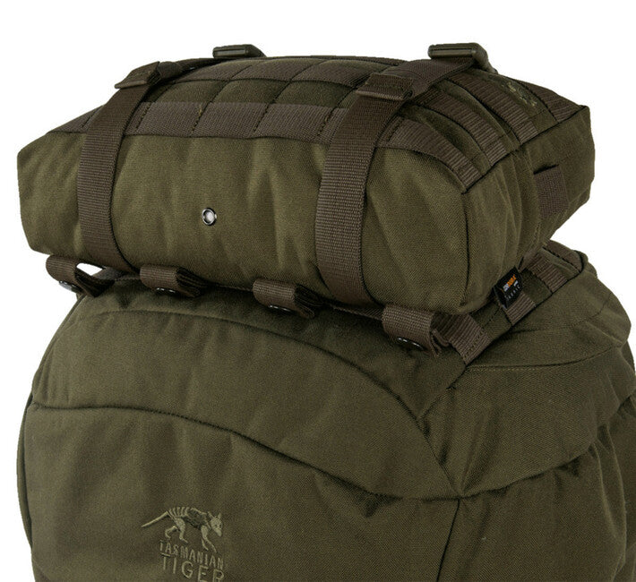 Tasmanian Tiger Tac Pouch 10, oliv