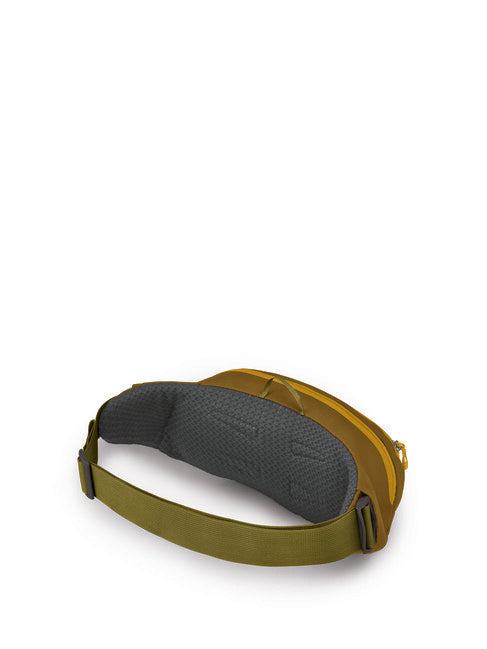 OSPREY Daylite Waist, meadow gray/histosol brown