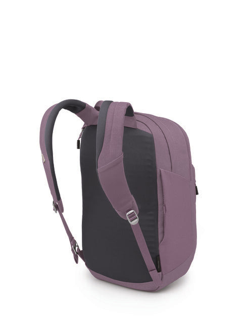 Osprey Arcane XL Urban Backpack, Purple Dusk Heather