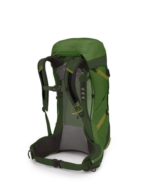 OSPREY Stratos 36 Wanderrucksack, seaweed/matcha green