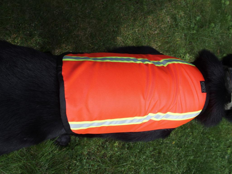 K9 Thorn Warnweste, XL
