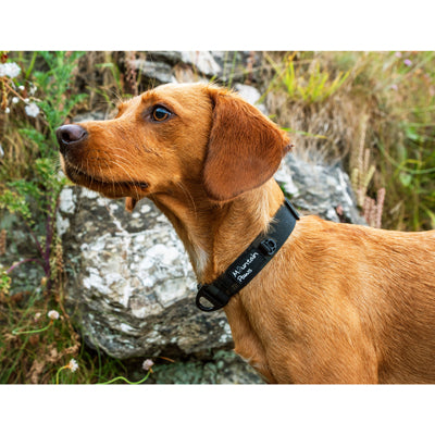 Mountain Paws Hundehalsband schwarz