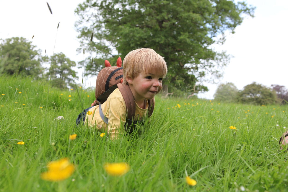 LittleLife dino Animal daypack für kleinkinder 2 L