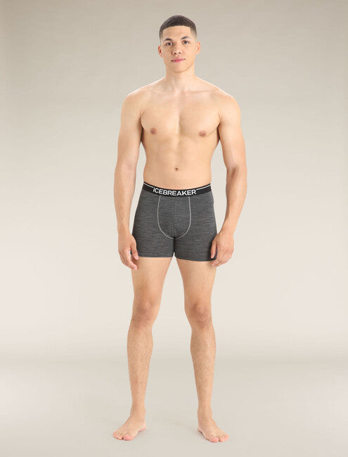 Icebreaker Anatomica herren-Boxershorts, grau