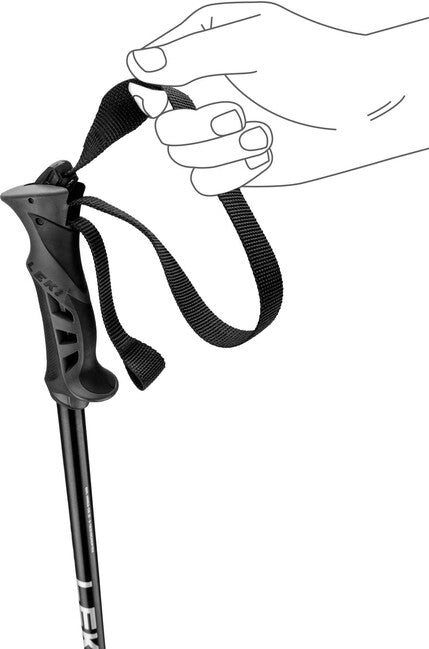 LEKI Rental Classic Abfahrts-Skistöcke natur eloxiert silber/schwarz