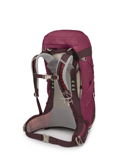 OSPREY Sirrus 36, elderberry purple/chiru tan