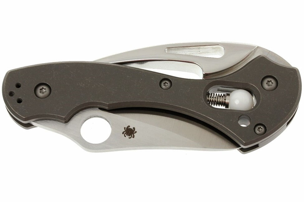 Spyderco Tusk taschenmesser 6 cm, grau, titan
