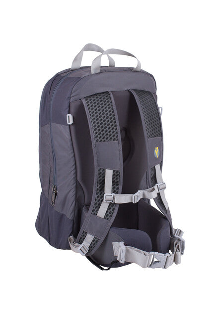 LittleLife Traveller S4 babytrage grau