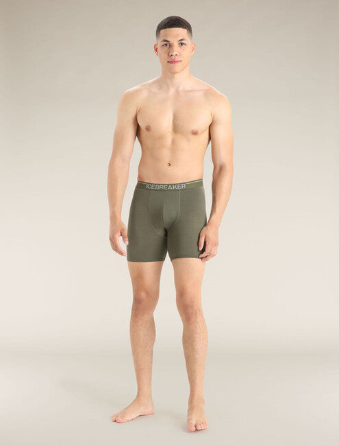 Icebreaker Anatomica men's lange boxershorts, grün