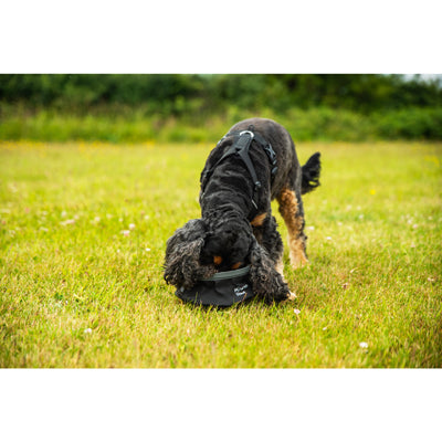 Mountain Paws M Harness für Tiere