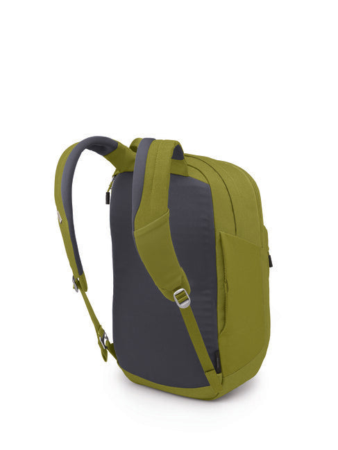 OSPREY Arcane XL stadtrucksack, matcha green heather