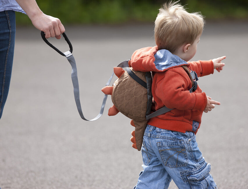 LittleLife dino Animal daypack für kleinkinder 2 L