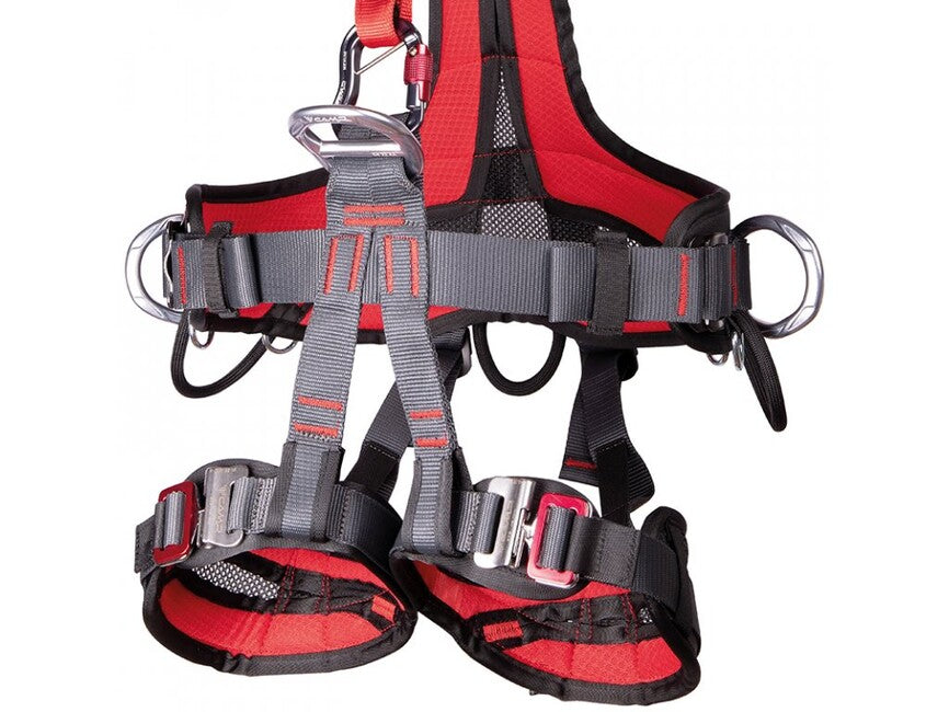 Camp Golden Top Evo Alu gurtzeug