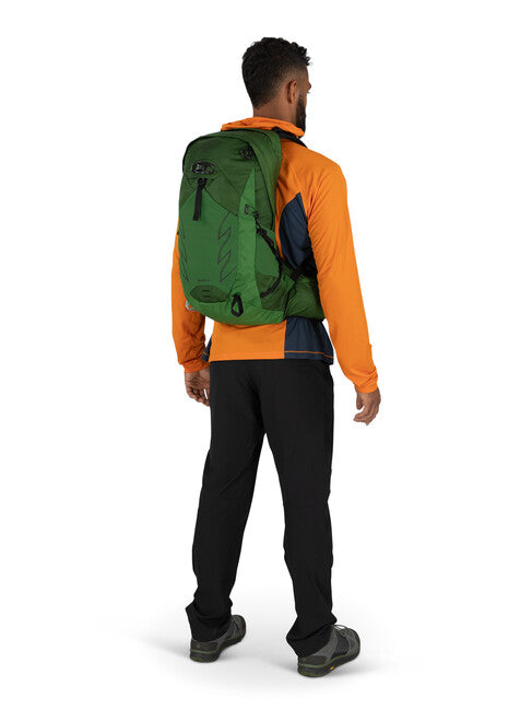 OSPREY Talon 22 wanderrucksack, green belt/black