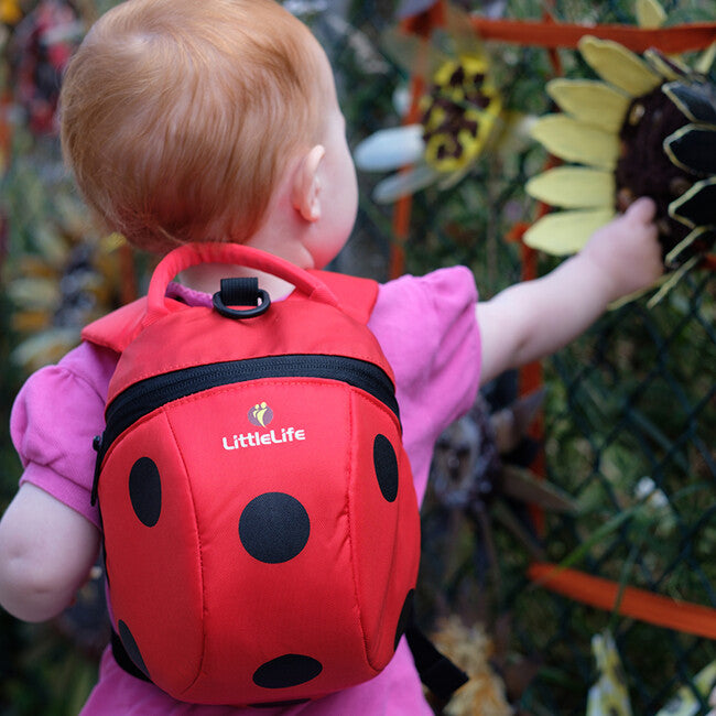 LittleLife Baby-Rucksack mit Marienkäfer-Motiv 2 l