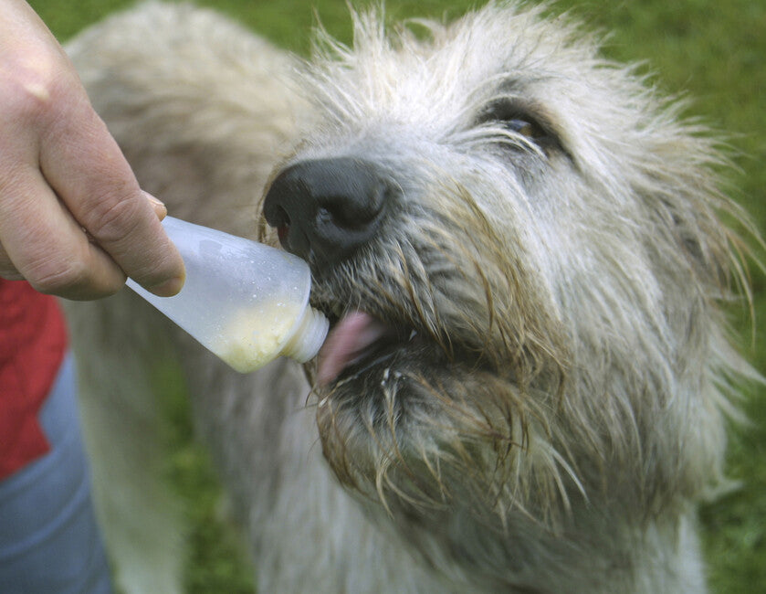 Origin Outdoors Squeeze tube Nachfüllbare Trainingsfuttermittel Für Hunde, 2 Stück 200 ml