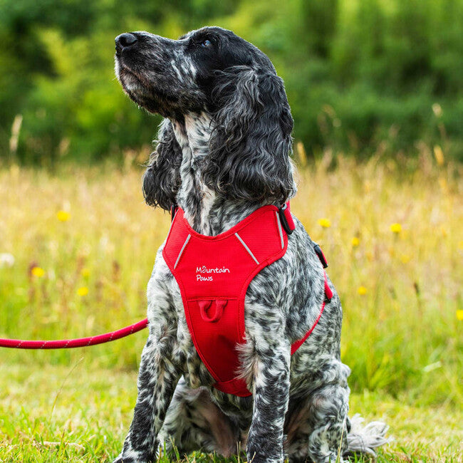Mountain Paws Gepolstertes Hundegeschirr Hundegeschirr klein, rot
