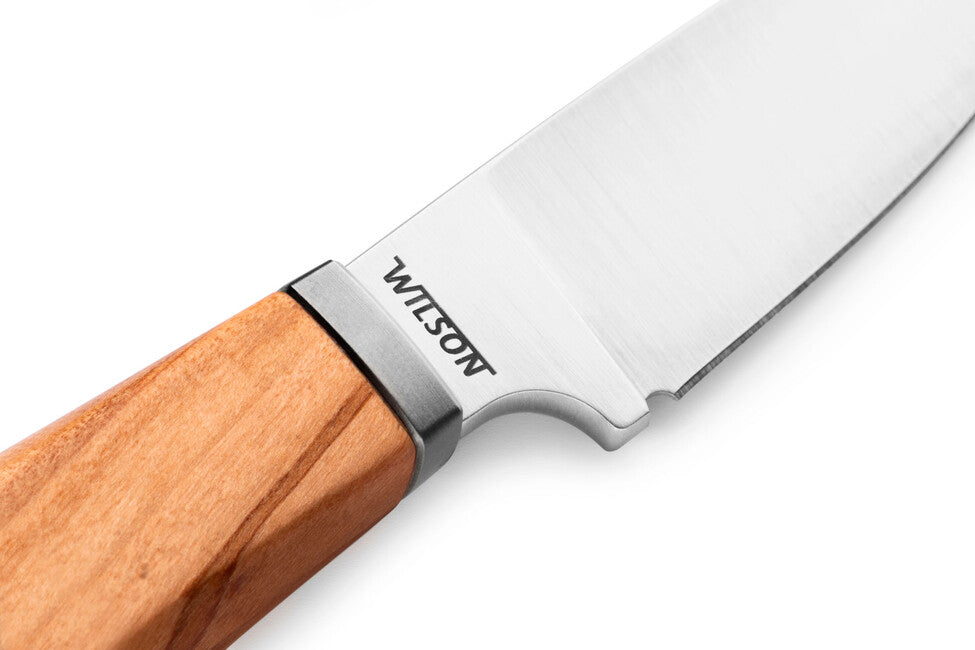 Lionsteel WILLY WL1 UL Messer mit feststehender Klinge und Olivenholzgriff