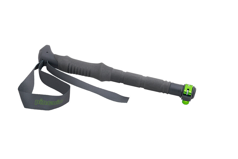 Pinguin trekingové palice Compact FL foam, sivá