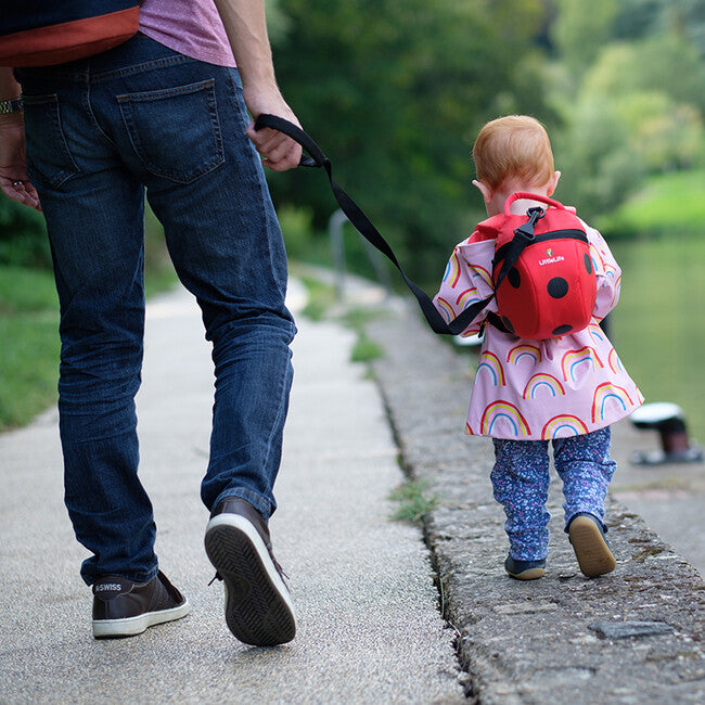 LittleLife Baby-Rucksack mit Marienkäfer-Motiv 2 l