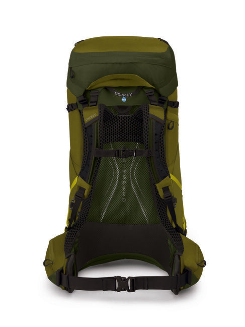 Osprey Atmos AG LT 65 Backpack, Scenic Valley/Green Peppercorn