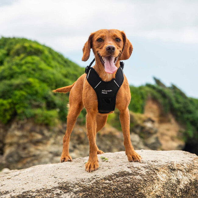 Mountain Paws gepolstertes Hundegeschirr Hundegeschirr groß, schwarz