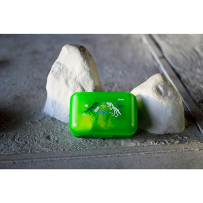 SIGG kinder-Lunchbox mit Dinosaurier-Muster