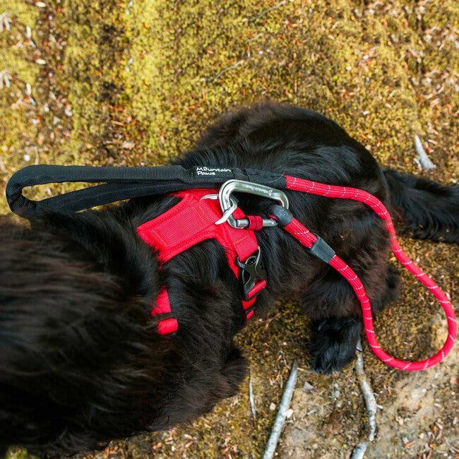 Mountain Paws Dog Harness gepolstertes Hundegeschirr medium, rot