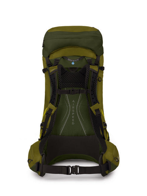 OSPREY Atmos AG LT 50, scenic valley/green peppercorn