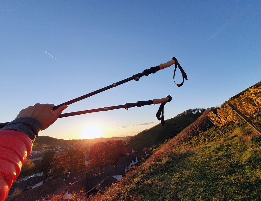 Origin Outdoors Mikro-Falt-Trekkingstöcke 1 Paar