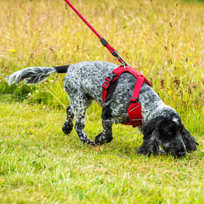 Mountain Paws gepolstertes Hundegeschirr groß, rot