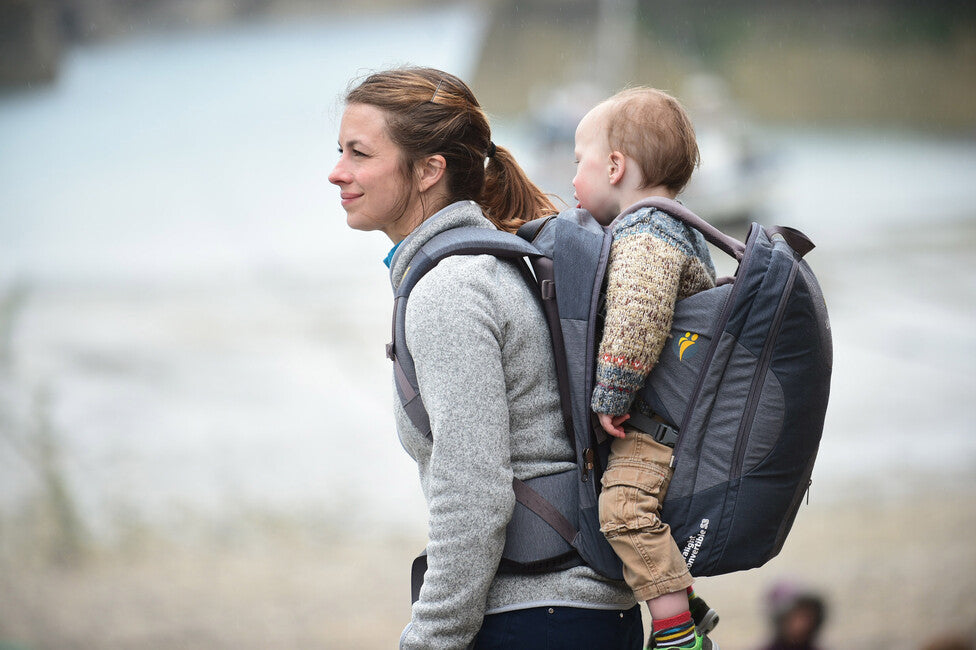 LittleLife Traveller S4 babytrage grau