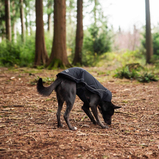 Mountain Paws klein Hundeumhang