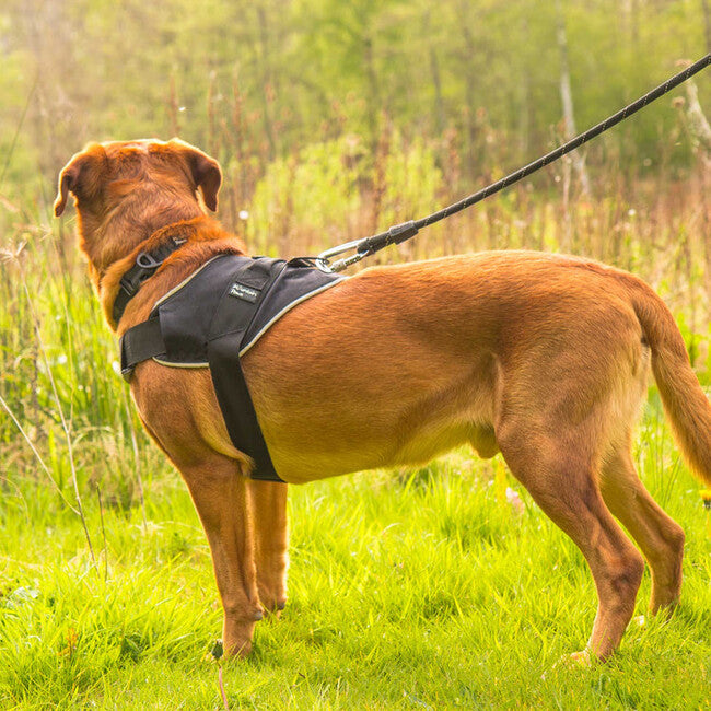 Mountain Paws Hundegeschirr extra groß